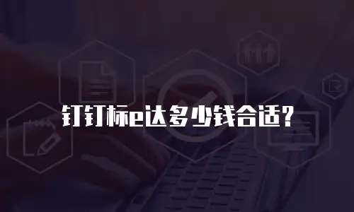 钉钉标e达多少钱合适？