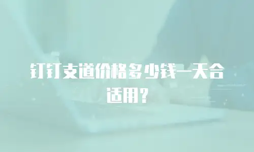 钉钉支道价格多少钱一天合适用？