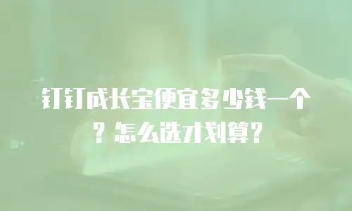 钉钉成长宝便宜多少钱一个？怎么选才划算？