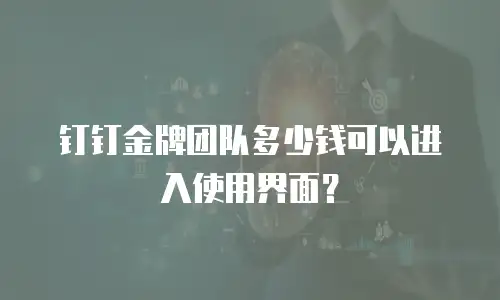 钉钉金牌团队多少钱可以进入使用界面？