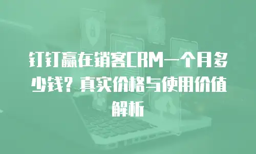 钉钉赢在销客CRM一个月多少钱？真实价格与使用价值解析