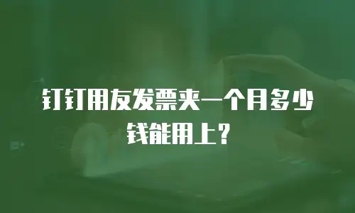 钉钉用友发票夹一个月多少钱能用上？