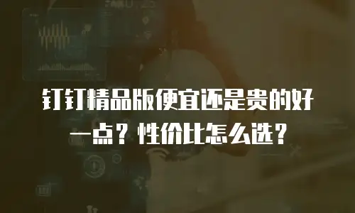 钉钉精品版便宜还是贵的好一点？性价比怎么选？