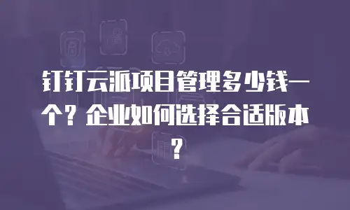 钉钉云派项目管理多少钱一个？企业如何选择合适版本？