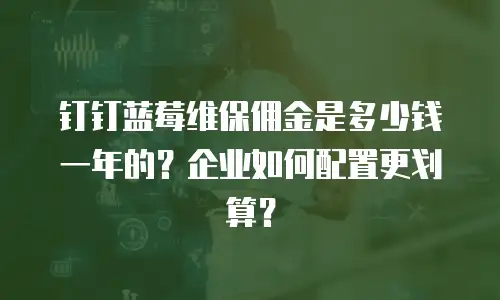 钉钉蓝莓维保佣金是多少钱一年的？企业如何配置更划算？
