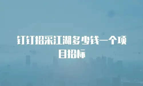钉钉招采江湖多少钱一个项目招标