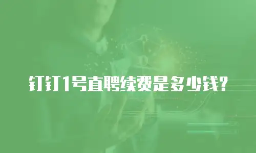 钉钉1号直聘续费是多少钱？