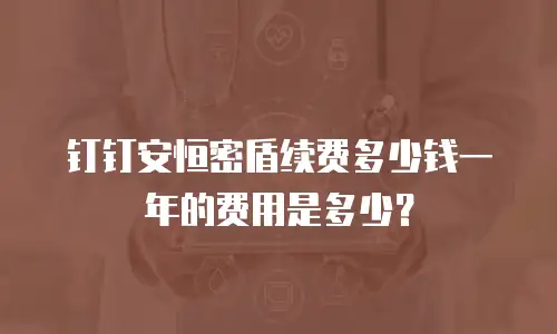 钉钉安恒密盾续费多少钱一年的费用是多少？