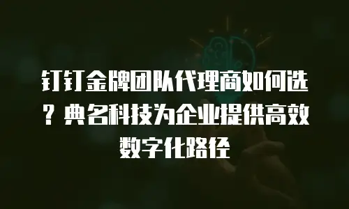 钉钉金牌团队代理商如何选？典名科技为企业提供高效数字化路径