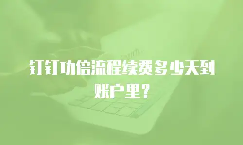 钉钉功倍流程续费多少天到账户里？