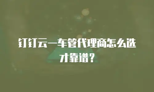 钉钉云一车管代理商怎么选才靠谱？
