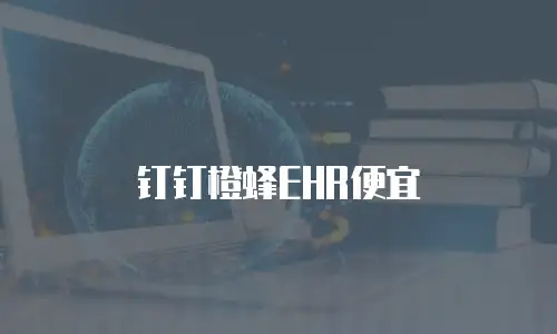 钉钉橙蜂EHR便宜