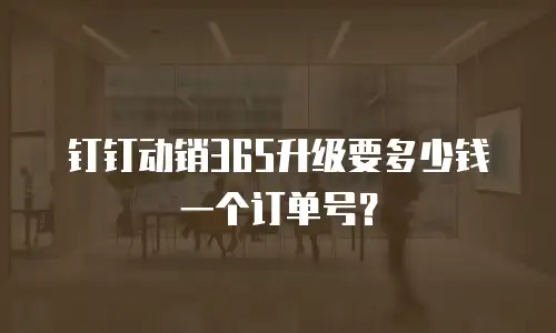 钉钉动销365升级要多少钱一个订单号？