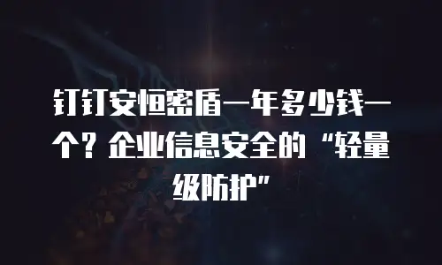 钉钉安恒密盾一年多少钱一个？企业信息安全的“轻量级防护”