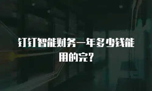 钉钉智能财务一年多少钱能用的完？