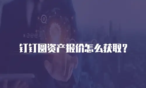 钉钉圆资产报价怎么获取？