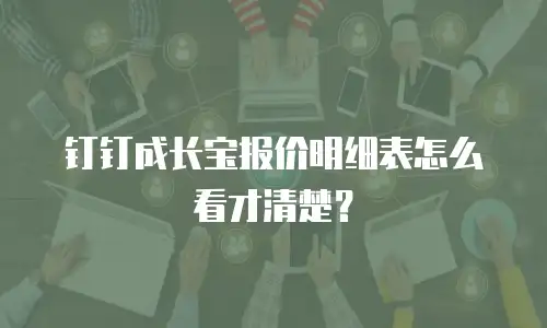 钉钉成长宝报价明细表怎么看才清楚？