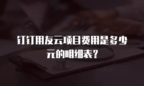 钉钉用友云项目费用是多少元的明细表？