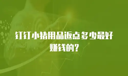 钉钉小猪用品返点多少最好赚钱的？