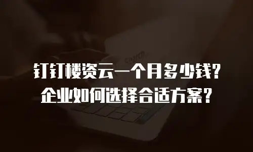 钉钉楼资云一个月多少钱？企业如何选择合适方案？
