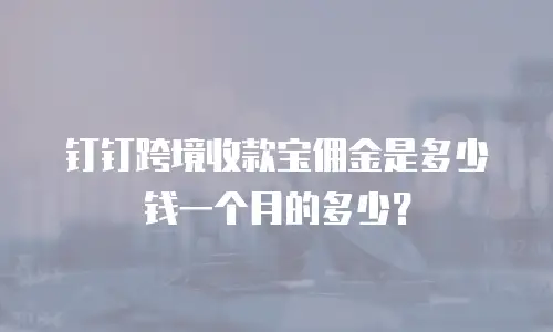 钉钉跨境收款宝佣金是多少钱一个月的多少？
