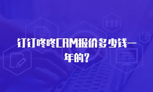 钉钉咚咚CRM报价多少钱一年的？