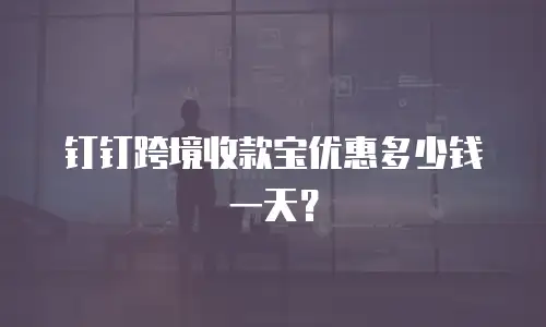 钉钉跨境收款宝优惠多少钱一天？