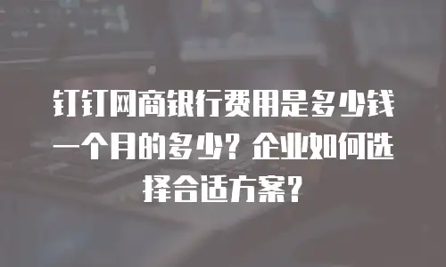 钉钉网商银行费用是多少钱一个月的多少？企业如何选择合适方案？
