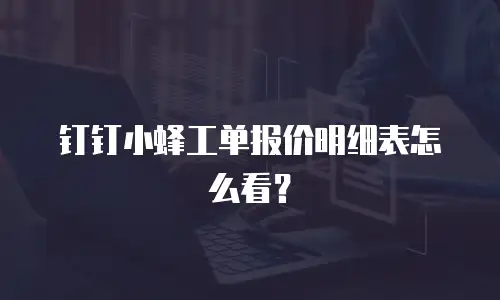 钉钉小蜂工单报价明细表怎么看？