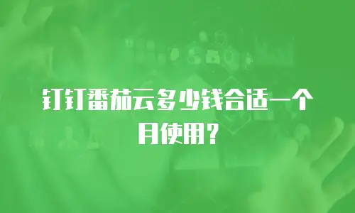 钉钉番茄云多少钱合适一个月使用？