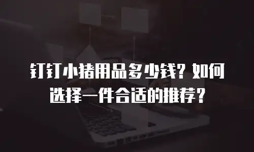 钉钉小猪用品多少钱？如何选择一件合适的推荐？