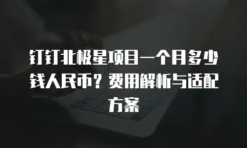 钉钉北极星项目一个月多少钱人民币？费用解析与适配方案
