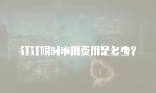 钉钉限时审批费用是多少？