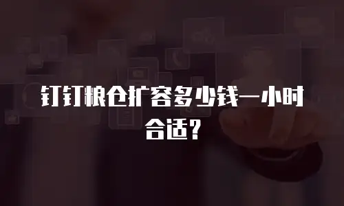 钉钉粮仓扩容多少钱一小时合适？