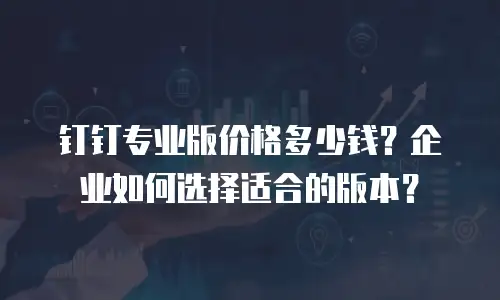 钉钉专业版价格多少钱？企业如何选择适合的版本？