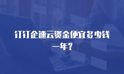 钉钉企速云资金便宜多少钱一年？