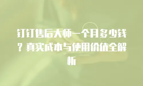 钉钉售后大师一个月多少钱？真实成本与使用价值全解析