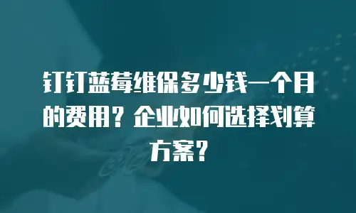 钉钉蓝莓维保多少钱一个月的费用？企业如何选择划算方案？