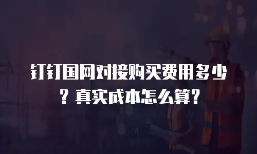 钉钉国网对接购买费用多少？真实成本怎么算？