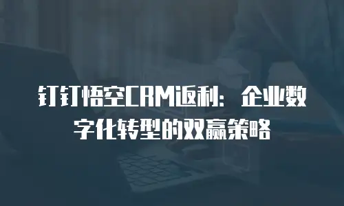 钉钉悟空CRM返利：企业数字化转型的双赢策略
