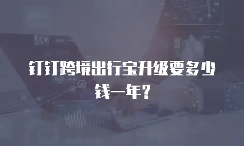 钉钉跨境出行宝升级要多少钱一年？