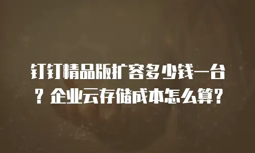 钉钉精品版扩容多少钱一台？企业云存储成本怎么算？
