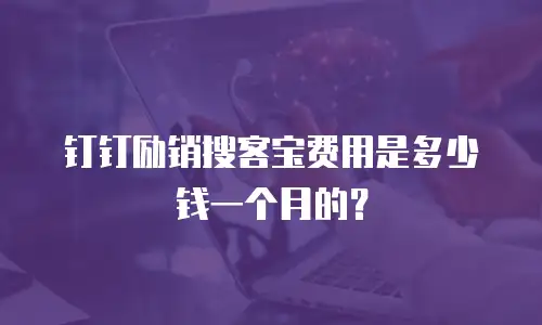 钉钉励销搜客宝费用是多少钱一个月的？