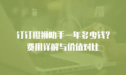 钉钉橙狮助手一年多少钱？费用详解与价值对比