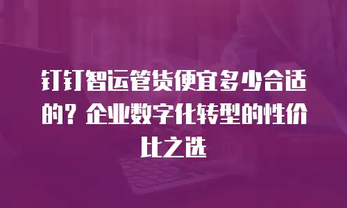 钉钉智运管货便宜多少合适的？企业数字化转型的性价比之选