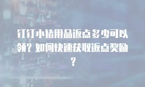 钉钉小猪用品返点多少可以领？如何快速获取返点奖励？