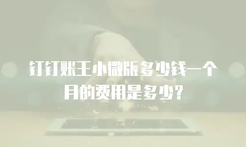 钉钉账王小微版多少钱一个月的费用是多少？