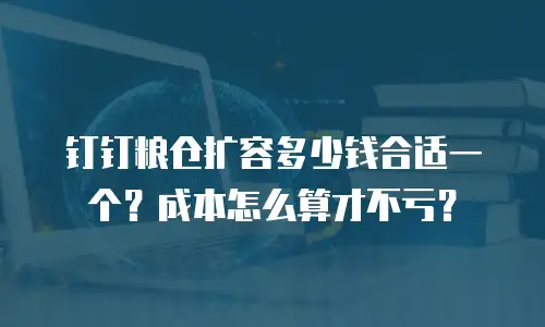 钉钉粮仓扩容多少钱合适一个？成本怎么算才不亏？