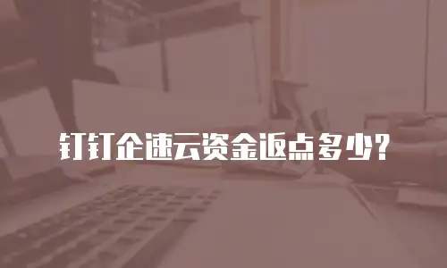 钉钉企速云资金返点多少？