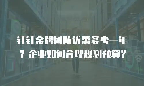 钉钉金牌团队优惠多少一年？企业如何合理规划预算？